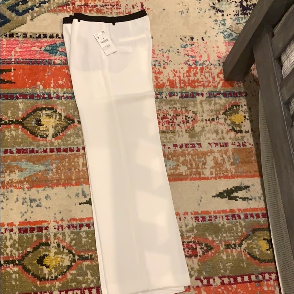Zara Basics sheer pants.